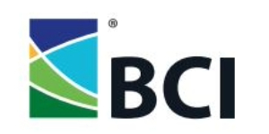 BIC-logo